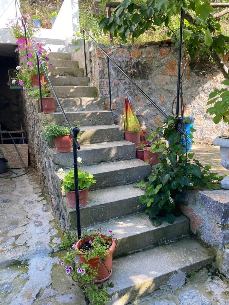 Roleo Guest House Lini Exterior foto
